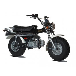 Moto T-REX 50 - SKYTEAM Moto T-REX 50 - SKYTEAM